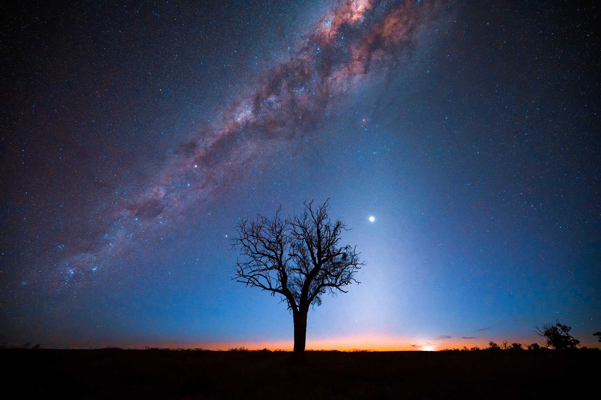 Stars and Silhouettes over the Australian landscape